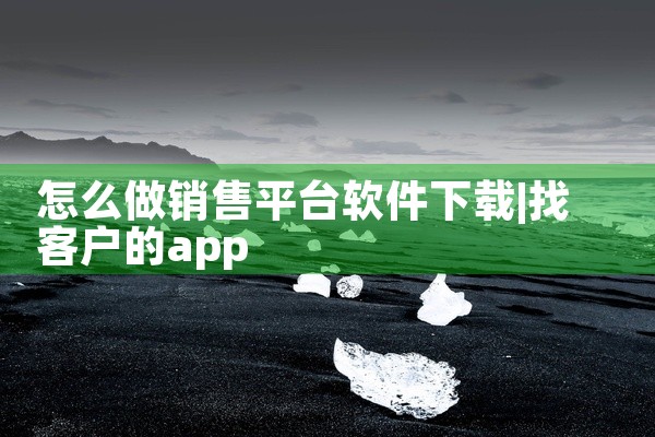 怎么做销售平台软件下载