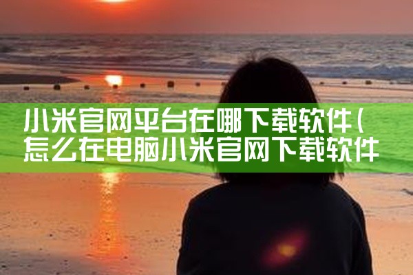 小米官网平台在哪下载软件