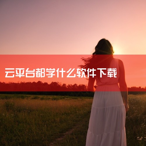 一、安装网易云课堂课程下载器 获取学无止下载器 学无止下载器是一款专门用于下载网易云课堂等网课平台...|